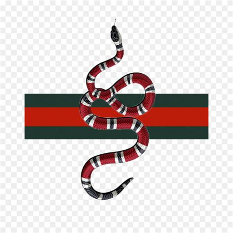 gucci snacke senza sfondo|gucci snake logo background.